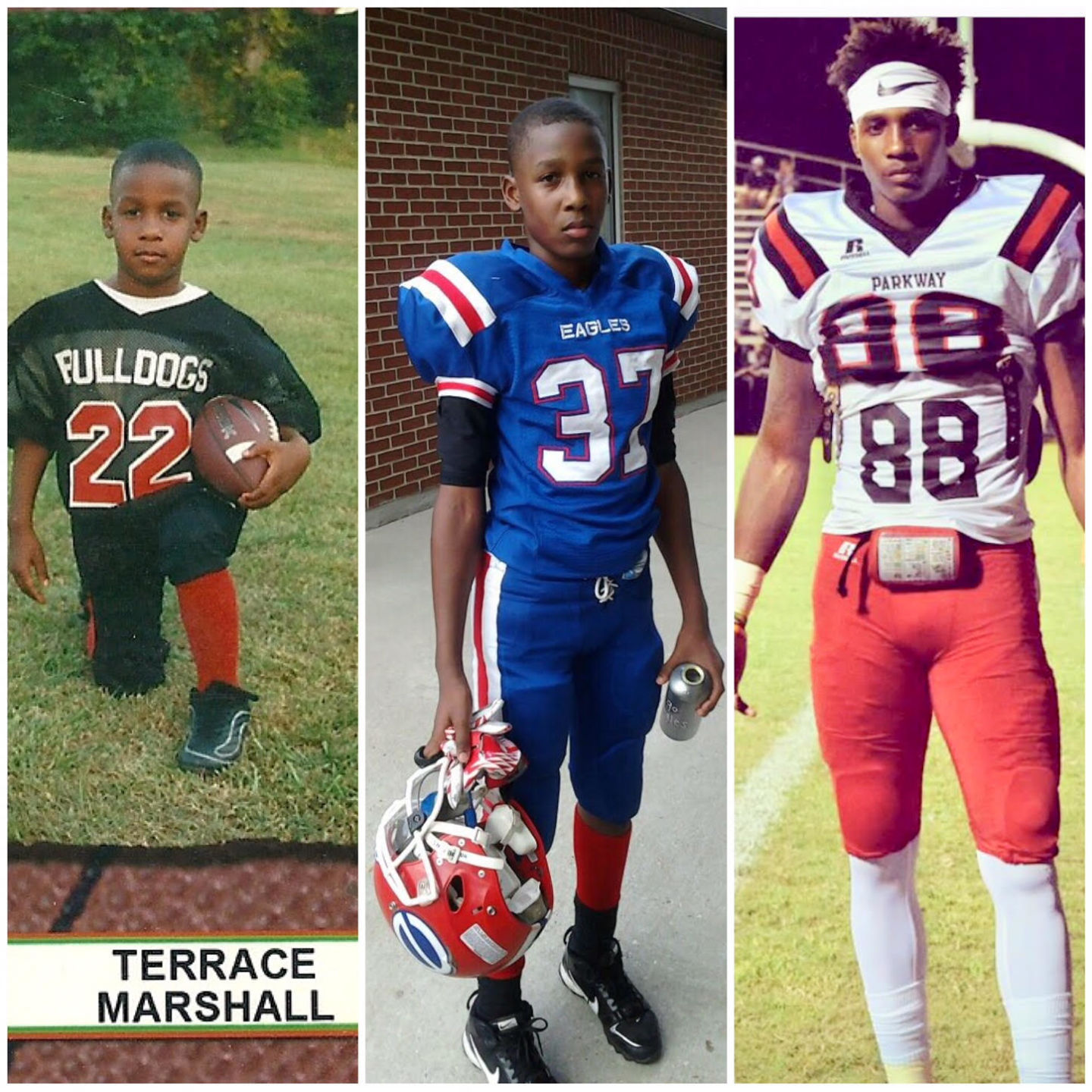 Terrace Marshall